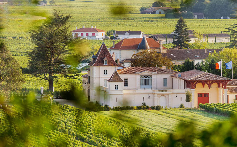 Vườn nho của Chateau Monlot bao gồm 8 ha, vườn nho của Château Monlot được chia thành hai phần riêng biệt