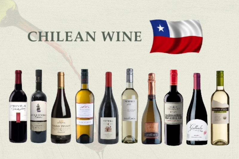 Đôi nét về rượu vang ở Chile