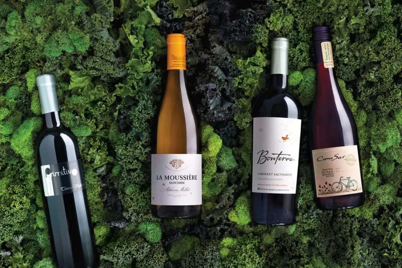 Rượu vang hữu cơ - Xu hướng mới của thị trường rượu vang