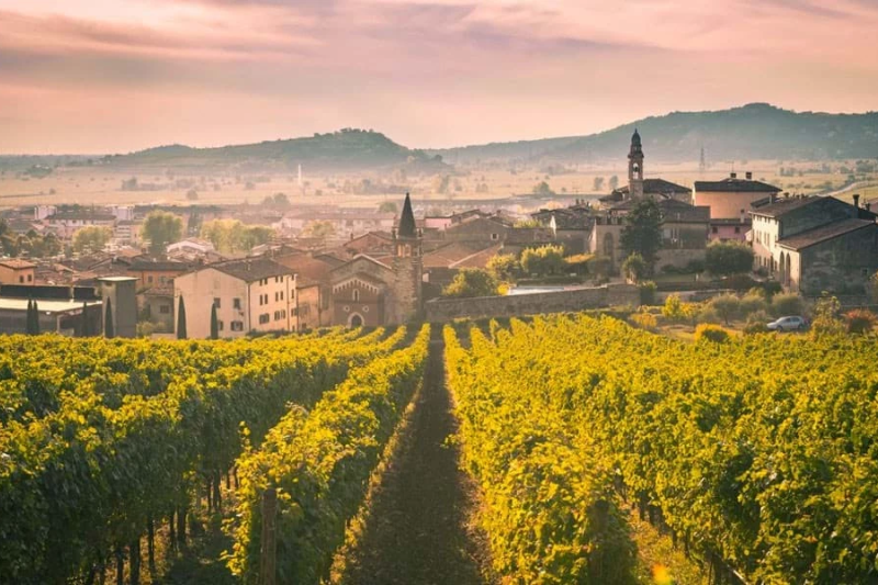 Ý là quốc gia sản xuất rượu vang hàng đầu thế giới