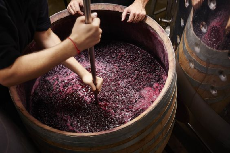 Quá trình sản xuất rượu vang
