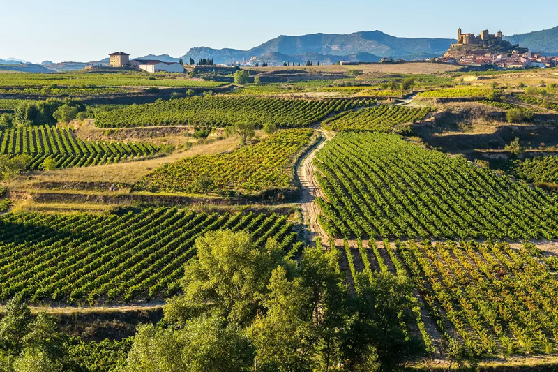 Ngày nay, Tây Ban Nha đã nổi tiếng với những loại rượu vang tuyệt vời và không thể thiếu trong thế giới rượu vang.